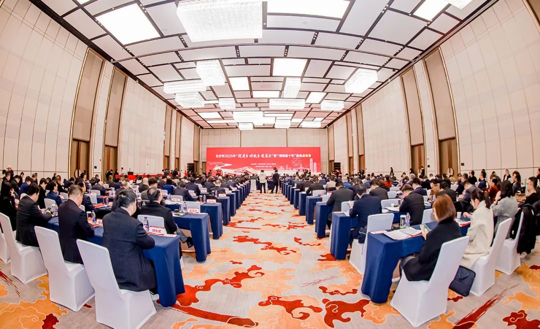 胡国安董事长受邀参加长沙市2025年“迎